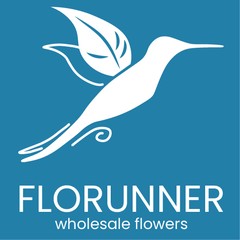Florunner — wholesale flowers